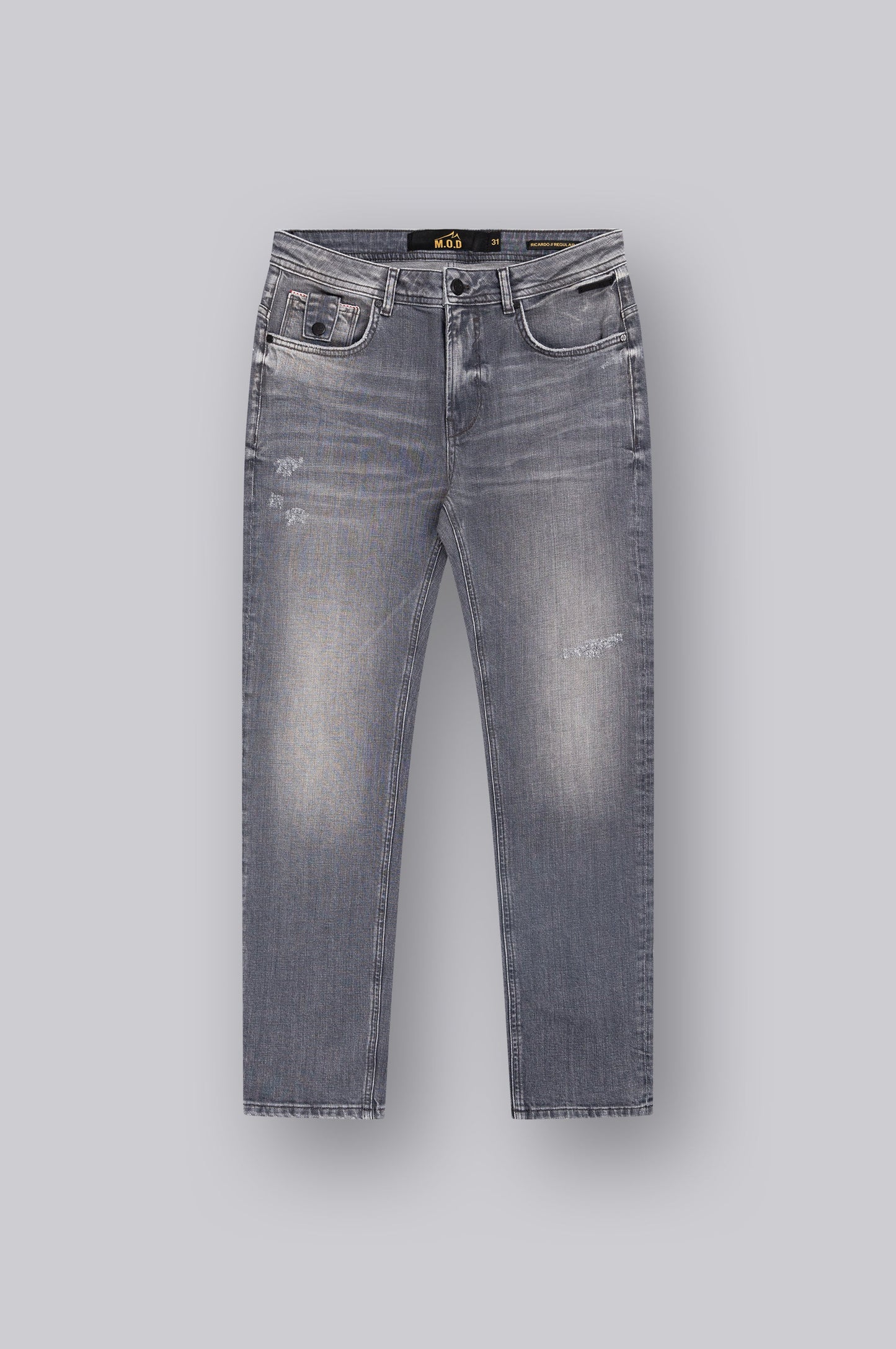 Ricardo Regular | Clever Grey