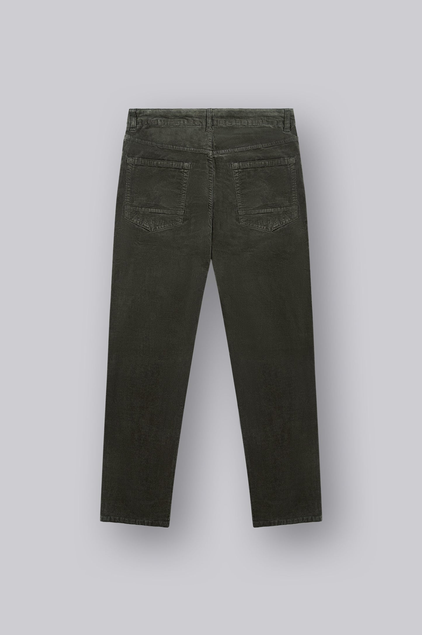 Cornell Regular | Forest Night Cord