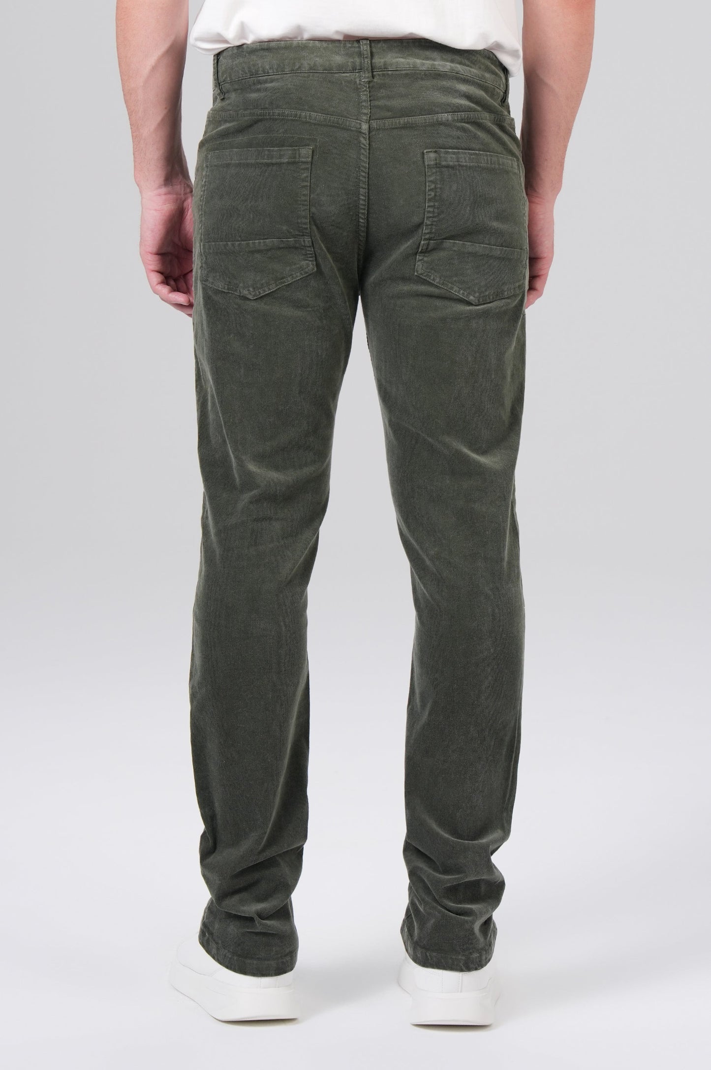 Cornell Regular | Forest Night Cord