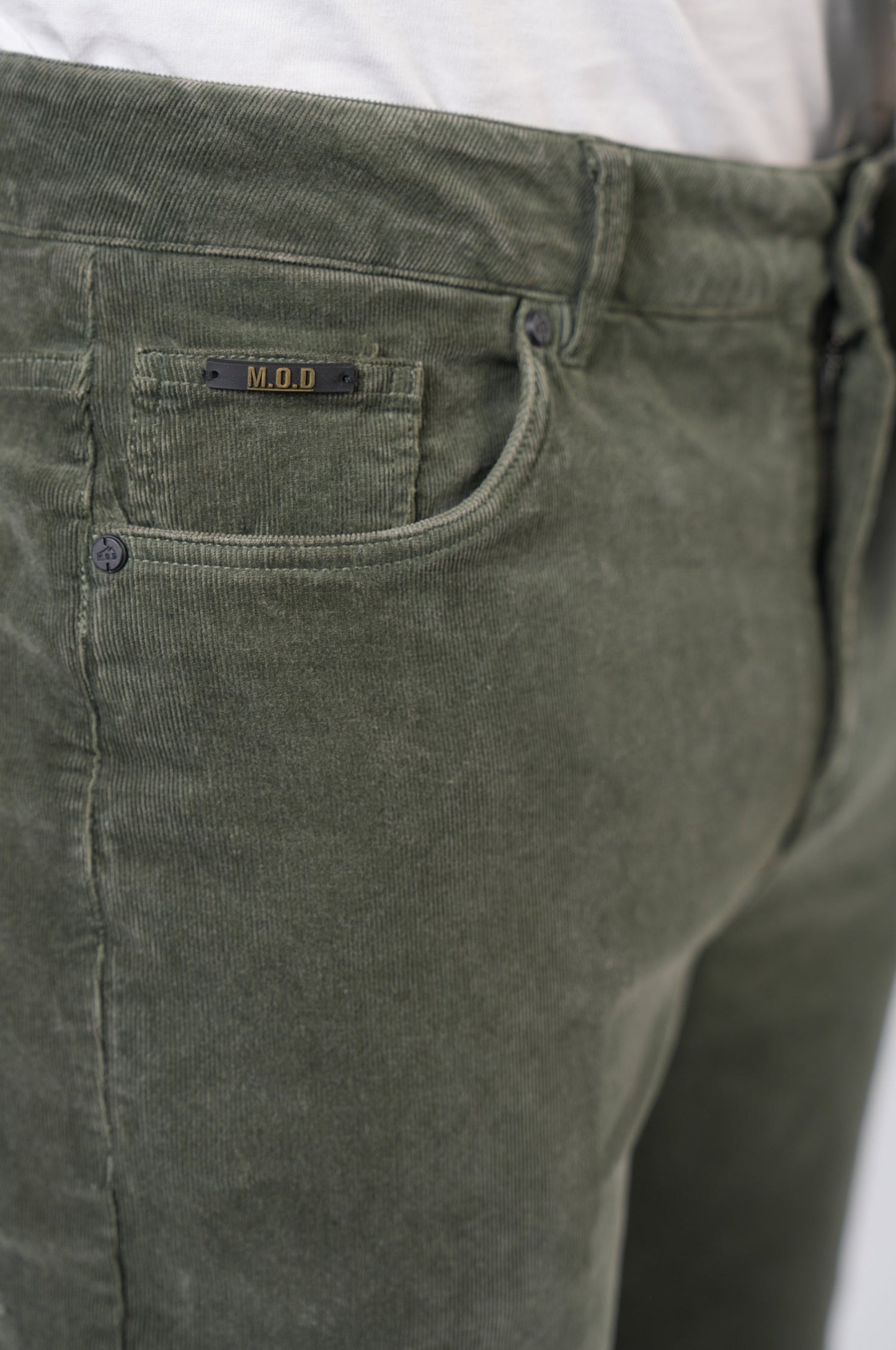 Cornell Regular | Forest Night Cord