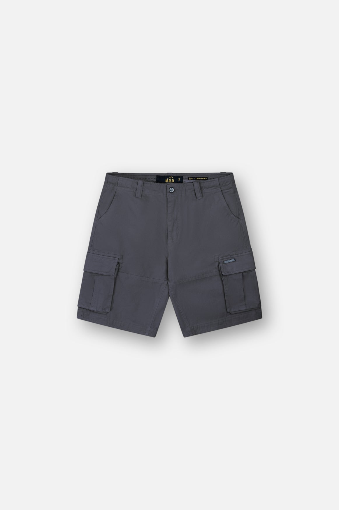 Ezra Cargo Shorts | Anthra