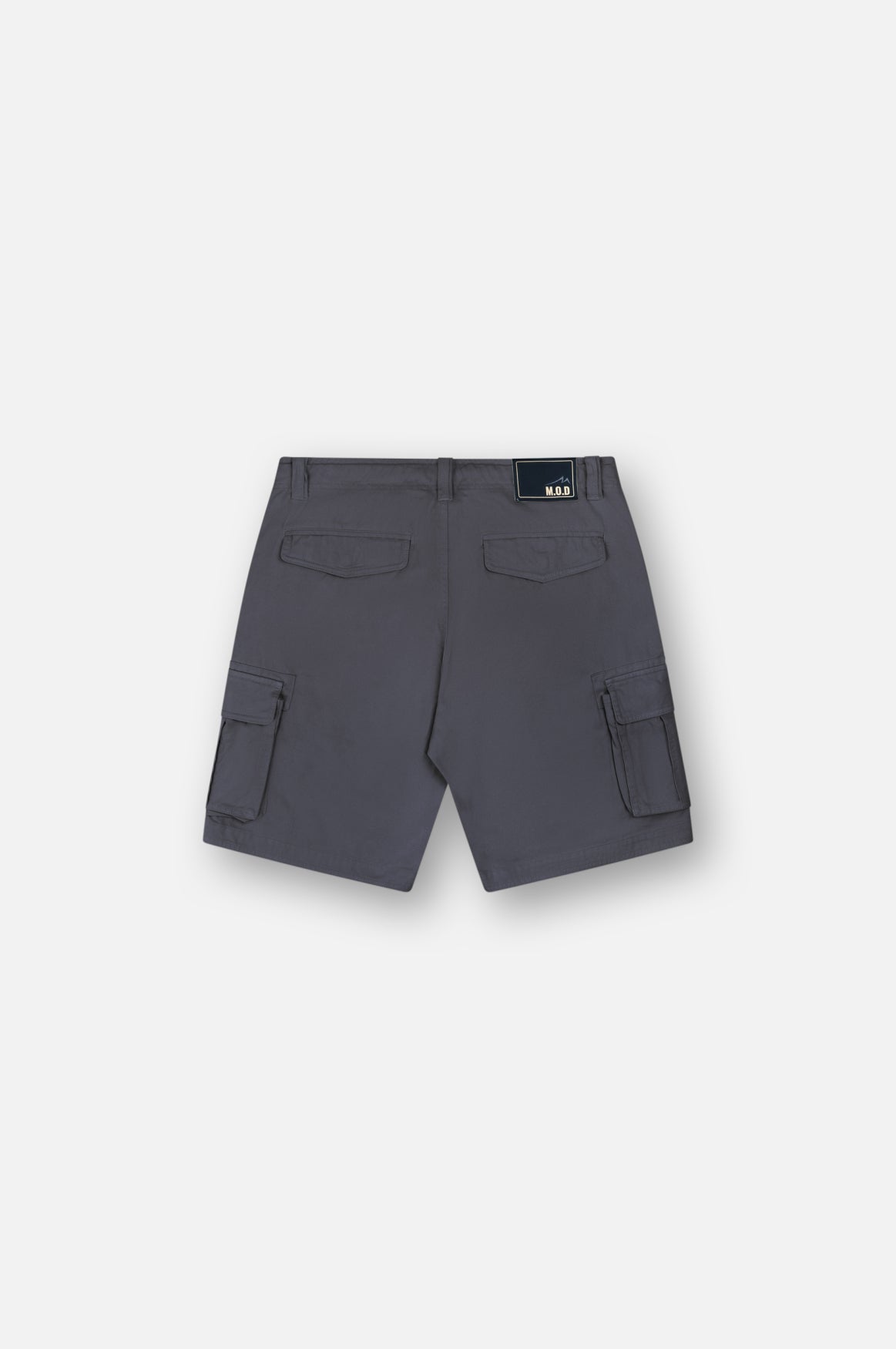 Ezra Cargo Shorts | Anthra