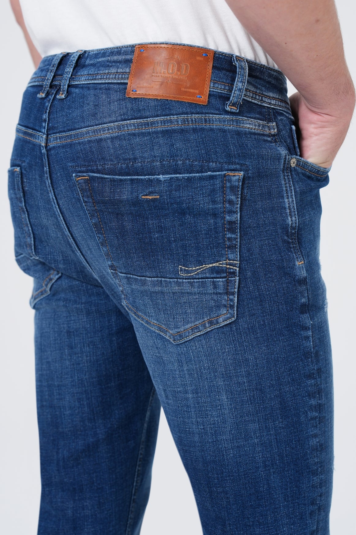 Cornell Regular | Either Blue