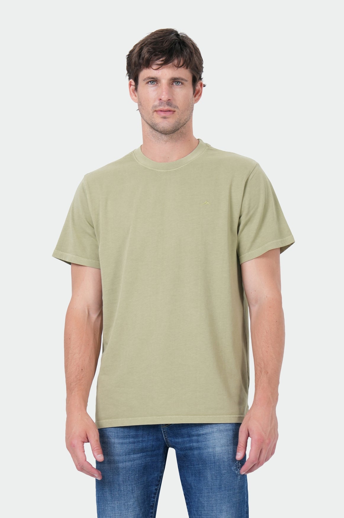 Erik T-Shirt | Gray Green