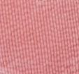 Coco Chino | Rose Dawn Cord