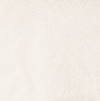 Ezra Cargo Shorts | Beige