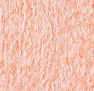 Sophie Pullover | Burnt Orange